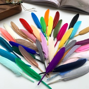 Plumas de Ganso Rectas Pequeñas, Plumas Individuales al por Mayor, Materiales para Manualidades, Joyería y Ropa - Product Image 1