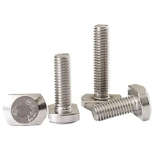 Ss304 Ss316 T Bolt With Plain And M5-M64 DIN186 A2-70 A4-80