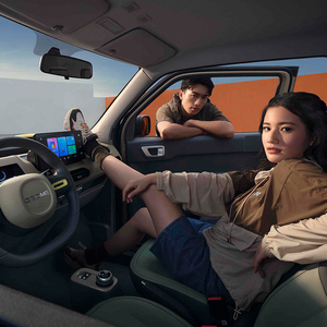 Geely Panda 2024, Auto Elettrica a Quattro Ruote e Quattro Posti, Veicolo a Nuova Energia per Adulti, Mini Auto Elettrica Geely Panda 2025 in Offerta - Product Image 5