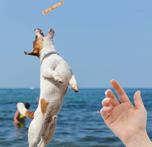 Juguete Masticable de Madera Ecológico para Perros, Palo de Madera de Café para Cachorros, Limpieza Dental, Alivio del Estrés - Product Image 2