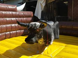 Castillo Inflable Comercial EASYFUN con Toro Mecánico, Juguete de Diversión con Material de Pelo de Vaca Auténtico para Alquiler en Fiestas - Product Image 3
