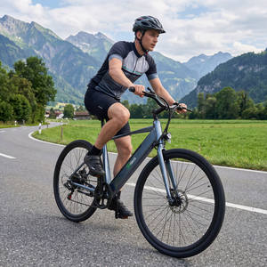 Vélo électrique de ville 250 Watts avec assistance au pédalage, 25 km/h, vélos électriques pour hommes, accélérateur, vitesse maximale 6 km/h, vélos électriques homologués pour la route en UE - Product Image 2