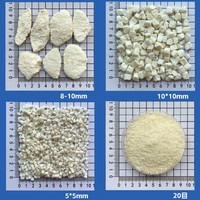 Diepvriesgedroogde perenplakjes, rijk aan vezels en vitaminen, voor de productie van producten voor de spijsvertering en welzijn.