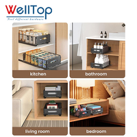 Nouveautés WELLTOP : Organisateur de placard coulissant, tiroirs coulissants, étagères de garde-manger, paniers fixes en fil métallique, étagère en acier au carbone