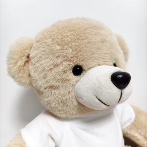 <strong>Bear</strong> Plush Toys Stuffed Animal Blank <strong>Sublimation</strong> Mini <strong>Teddy</strong> <strong>Bear</strong> <strong>t</strong> <strong>Shirts</strong> <strong>Wholesale</strong> Custom <strong>Teddy</strong> <strong>Bear</strong> logo - Product Image 4