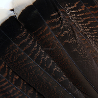 Plumes de queues de dinde naturelles de haute qualité pour les costumes de carnaval danse Halloween artisanat Vente en gros en stock Offre Spéciale vrac