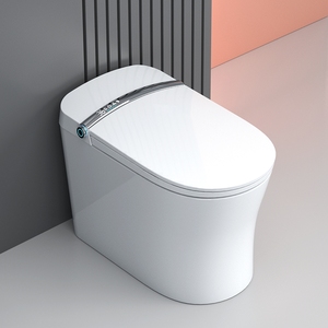 WaterMark Intelligent Smart Toilet Silver Strip Tankless Side Alloy Knob Rimless Gloss White Ceramic Auto Flush Heated Bidet - Product Image 2