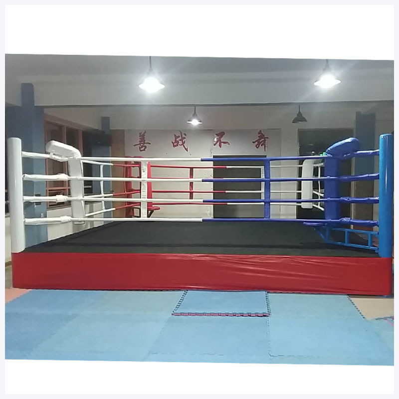 Yujishan High quality Competition Training Boxing