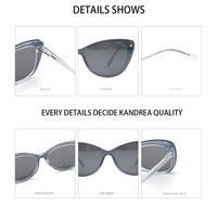 Lunettes pour femmes, monture complète œil de chat, monture TR, verres PC, vente en gros, livraison rapide du fabricant