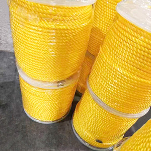 Bờ biển mới nhà máy cường độ cao 4mm-72mm xoắn nhựa Polypropylene <span class=keywords><strong>PP</strong></span> dây 3-sợi quanh co để đóng gói và câu cá - Product Image 5