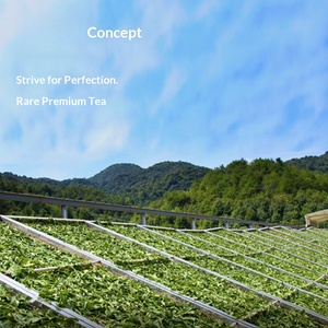 Té de Peonía Blanca Orgánico de Grado Especial de Árboles Silvestres Centenarios de la Industria del Té, Años de Oro 2022, Caja de Bolsitas de Té de 1000g - Product Image 6