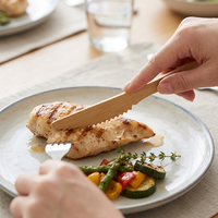 Couteaux en bambou écologiques pour restaurant et cuisine domestique, logo et taille personnalisés, couteau jetable