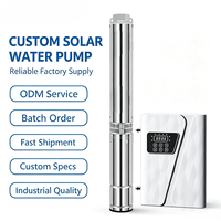 Pompe solaire submersible automatique pour puits, à économie d'énergie, pour l'irrigation des terres agricoles et l'alimentation en eau des villages