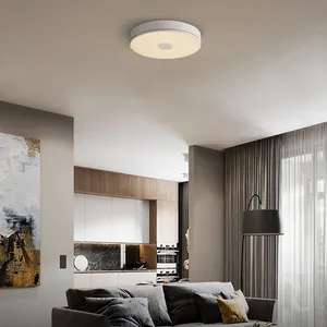Aisilan 2022 팝 현대 천장 장식 레스토랑 현관 금속 링 led 조명 홈 천장 램프