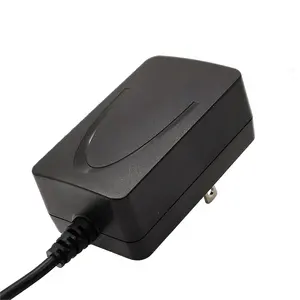 Power Adaptor 19V 14V 5.5V 6V 20V 15V 13.5V 10V 9V 2A 4A 1.8A 1.5A 2.4A 2.5A 2.66A 3A 3.5A AC To DC 24W 12W Power Supply Adapter