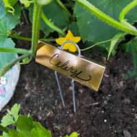 Étiquettes de plantes en acier inoxydable robustes Étiquettes de marquage d'identification de pot de jardin extérieur Marqueurs de pétales pour plantes