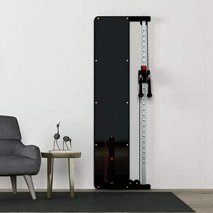 DINUO - <span class=keywords><strong>Polea</strong></span> de entrenamiento de cable metálica de pared, ahorradora de espacio, funcional, individual/doble, ajustable para gimnasio en casa, fuerza de cuerpo completo - Product Image 1