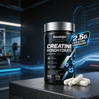 Capsules de Créatine Monohydrate en Gros, 120 Capsules de 2,5g, Nutrition Sportive, Soutien à la Force, OEM