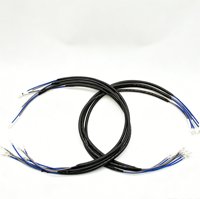 Harness Kabel Kustom Bersertifikasi CE ROHS, Konektor XH Putih Dua Sisi, Kabel PVC Biru Abu-abu untuk Perangkat Kontrol Elektronik