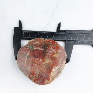 सजावट के लिए थोक प्राकृतिक क्रिस्टल पॉलिश किया हुआ पत्थर लकड़ी जीवाश्म टुकड़ा नमूना - Product Image 5