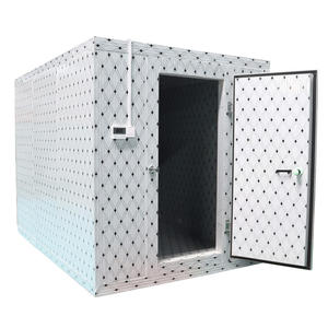 Chambre froide industrielle mobile sur mesure, congélateur à air pulsé, multi-tension (220-400V) - Product Image 5