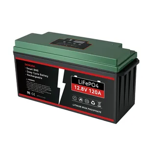 SMART lifepo4 12v 24v 48v 200ah 100ah LFP 태양열 배터리 팩 충전식 태양열 RV 캐러밴 해양 보트 미국 독일 영국 캐나다