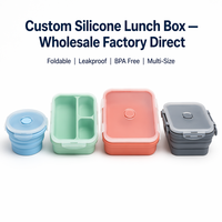 Boîte à bento en silicone de qualité alimentaire à compartiments, directement de l'usine, faible MOQ, support du dropshipping