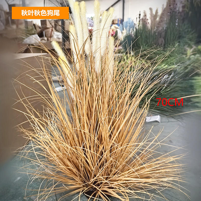 Feuilles d'automne, couleurs d'automne, queue de chien