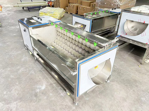 Máquina de Limpieza y Pelado de Mariscos, Conchas, Rábanos, Taro y Remolacha, Tipo Rodillo de Cepillo, de Acero Inoxidable 304, Alta Eficiencia 500-3000kg/h - Product Image 6