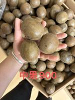2025 nouvelle culture Guangxi Luo Han Guo spécial moine fruits traditionnel thé cuit au four peut être utilisé pour extraire les édulcorants