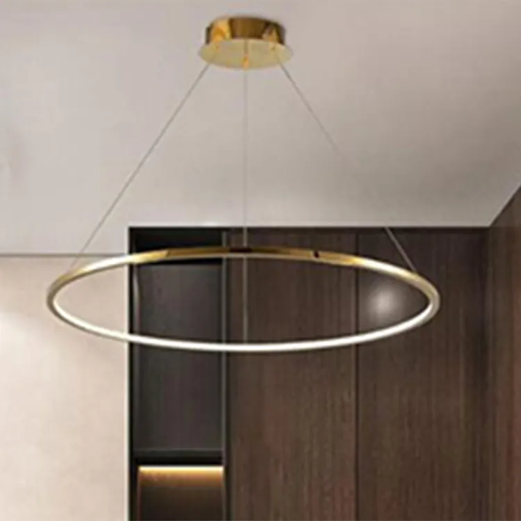 300mm gold ring hanging lamp light for home indoor pendant lamp 2 circles ring led chandelier lights