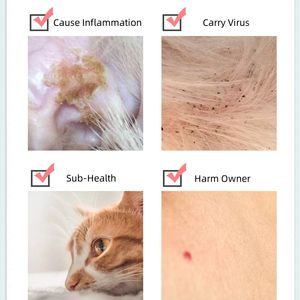 100% <span class=keywords><strong>plante</strong></span> naturelle non toxique <span class=keywords><strong>huile</strong></span> <span class=keywords><strong>essentielle</strong></span> collier apaisant réglable chien <span class=keywords><strong>chat</strong></span> collier Anti-moustique - Product Image 4