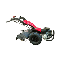 Motoculteur compact à essence avec roulement à billes de 9 à 15 CV pour une productivité élevée dans les petits jardins et micro-fermes