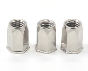 पेशेवर छोटे काउंटरसनक सिर स्टेनलेस स्टील 304 पूर्ण हेक्स रिवेट नट पुल कैप दीन पैकेज्ड कार्टन + प्लास्टिक बैग नट - Product Image 1