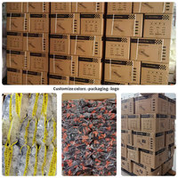 Kit professionnel de clips et cales réutilisables en plastique pour l'alignement des carreaux muraux et de sol en gros