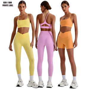 Conjunto Deportivo de 3 Piezas para Mujer, Top Deportivo con Cintura en V, Pantalones Cortos, Leggings, Espalda Descubierta, Conjunto de Yoga, Logotipo Personalizado, Fabricante OEM, Venta al Por Mayor - Product Image 1