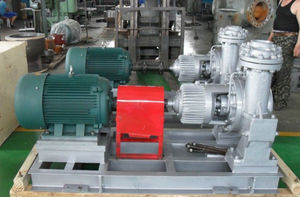 Pompe centrifuge à circulation d'huile thermique haute température série AY pour le traitement des eaux usées, haute pression, en acier moulé et inoxydable - Product Image 6