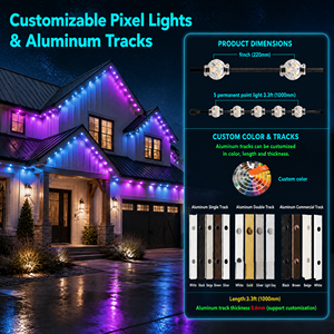 Luci LED Pixel RGBW da 30mm per Esterni, 12V 24V 36V IP68, Illuminazione Decorativa Natalizia Permanente - Product Image 3
