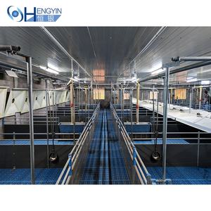 Caisses <span class=keywords><strong>de</strong></span> pépinière durables galvanisées à chaud pour porcs, meilleure <span class=keywords><strong>vente</strong></span> <span class=keywords><strong>d</strong></span>'équipement agricole - Product Image 6