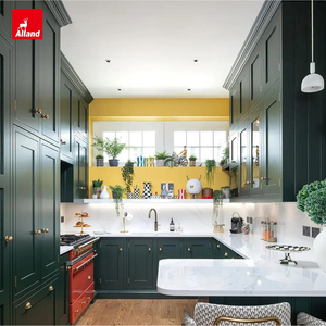 Armoire de cuisine en forme de U verte conçue par Alland Supplier, sous la hotte, pour petite cuisine, avec accessoires - Product Image 2