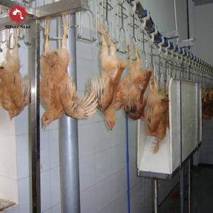 Maquinaria y Equipo para Mataderos de Aves de Corral Usados - Product Image 1
