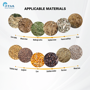 Machine à granulés d'aliments électriques pour la production d'aliments pour volailles et porcs, capacité de 20 tonnes/h, matériau en alliage, moules de granulés personnalisables - Product Image 6
