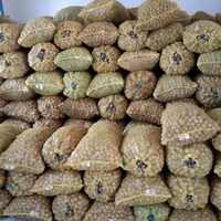Noix en gros de Chine : Demi-noix séchées en vrac, de qualité alimentaire, pour la pâtisserie, les petits-déjeuners et les collations saines