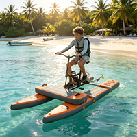 Vélo aquatique gonflable personnalisé en PVC série WB pour parc aquatique, vélo de mer, location touristique pour lacs et mers