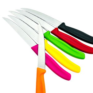 Lot économique de couteaux à steak dentelés en acier inoxydable avec manche en plastique multicolore pour la maison, les fêtes et les restaurants - Product Image 2