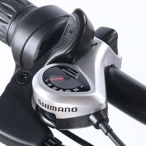 Scooter électrique à deux roues de grande taille, modèle Snow-CK02, personnalisable pour le commerce extérieur transfrontalier, avec batterie au lithium - Product Image 4