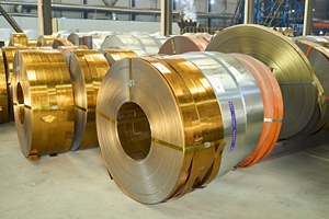 अनुकूलित प्रीppगी पीपीएल रंग लेपित स्टील कॉइल प्लेट शीट रोल स्ट्रिप - Product Image 6