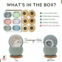 Pots à fleurs en céramique écologiques de 3 pouces pour plantes d'intérieur, lot de 6 avec trou de drainage, design moderne, ensemble de pots pour plantes succulentes