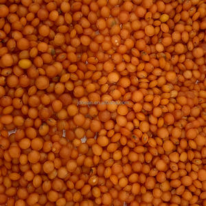 Nihewan Toptan Kırmızı Mercimek Kabuklu Özelleştirme Destekli <span class=keywords><strong>Dal</strong></span> Kırmızı Mercimek - Product Image 2