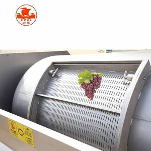 Prensa Neumática para Uvas con Tanque Cerrado, Equipo para Bodega - Product Image 3